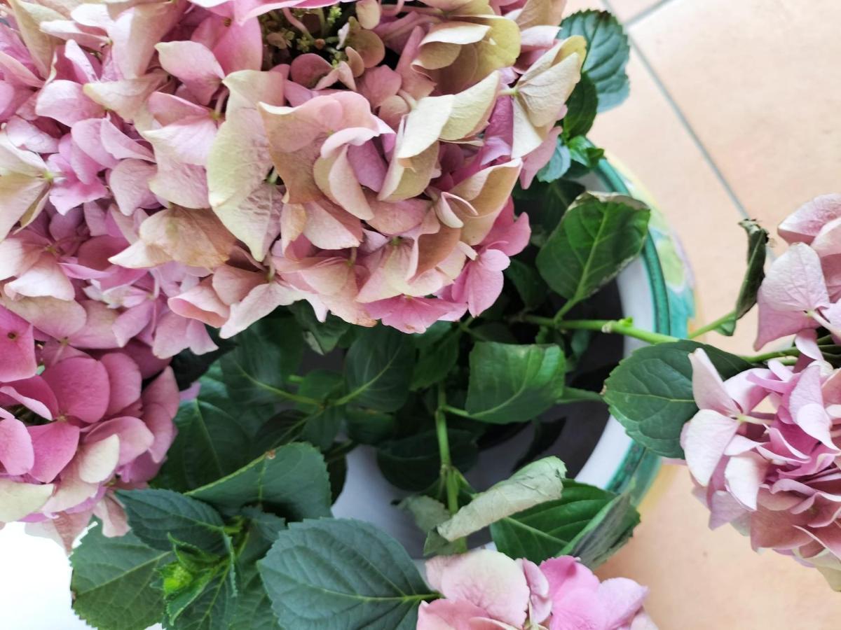 Nel Cuore Di Vietri Casa Vacanze Amalfi Coast מראה חיצוני תמונה